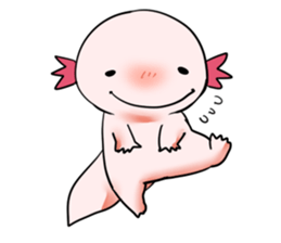 Ambystoma mexicanum is cute! sticker #9205776