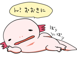 Ambystoma mexicanum is cute! sticker #9205783