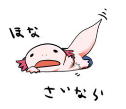 Ambystoma mexicanum is cute! sticker #9205790