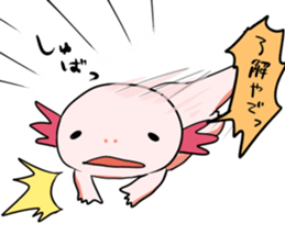 Ambystoma mexicanum is cute! sticker #9205791