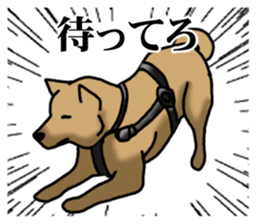 Survival game dog sticker #9208328