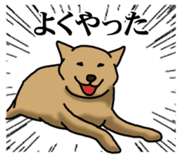 Survival game dog sticker #9208336