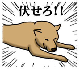 Survival game dog sticker #9208338