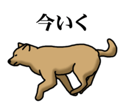 Survival game dog sticker #9208351