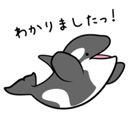 ORCAS ALL OVER!! vol.3 sticker #9209251