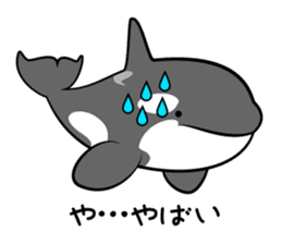 ORCAS ALL OVER!! vol.3 sticker #9209258