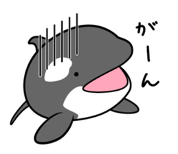 ORCAS ALL OVER!! vol.3 sticker #9209267