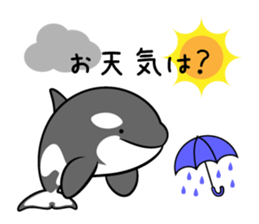 ORCAS ALL OVER!! vol.3 sticker #9209272