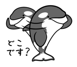 ORCAS ALL OVER!! vol.3 sticker #9209274