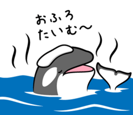 ORCAS ALL OVER!! vol.3 sticker #9209280