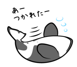 ORCAS ALL OVER!! vol.3 sticker #9209283