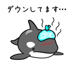 ORCAS ALL OVER!! vol.3 sticker #9209284