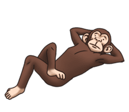 Crazy Funky Monkey sticker #9211037