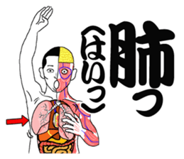 Message from a model of the human body sticker #9213149