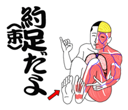 Message from a model of the human body sticker #9213163