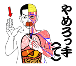 Message from a model of the human body sticker #9213171