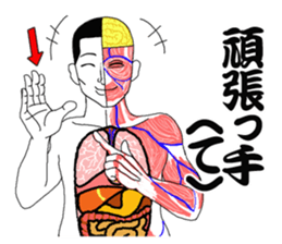 Message from a model of the human body sticker #9213177