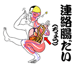 Message from a model of the human body sticker #9213182