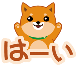 Shiba dog "MUSASHI" 6 sticker #9214349