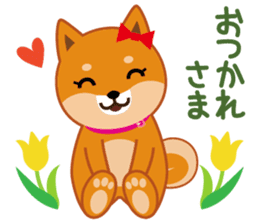 Shiba dog "MUSASHI" 6 sticker #9214351