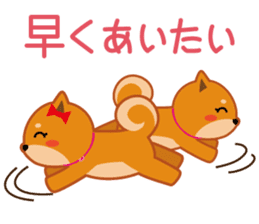 Shiba dog "MUSASHI" 6 sticker #9214367