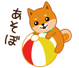 Shiba dog "MUSASHI" 6 sticker #9214368