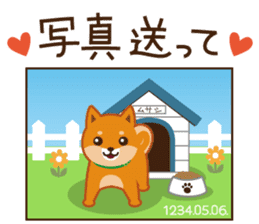 Shiba dog "MUSASHI" 6 sticker #9214374