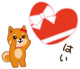 Shiba dog "MUSASHI" 6 sticker #9214377