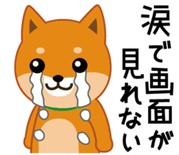 Shiba dog "MUSASHI" 6 sticker #9214383