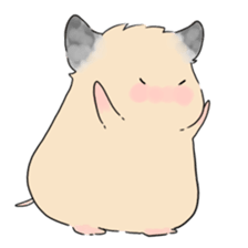 Hamster everyday! sticker #9215669