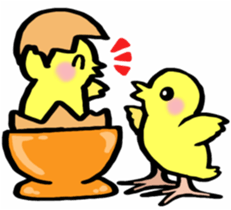 Chicken's kitchen sticker #9220698