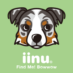 iinu - Australian Shepherd