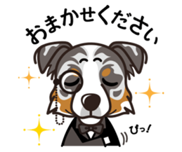 iinu - Australian Shepherd sticker #9223875