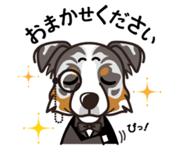 iinu - Australian Shepherd sticker #9223875