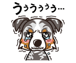 iinu - Australian Shepherd sticker #9223880