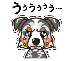 iinu - Australian Shepherd sticker #9223880