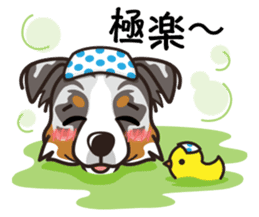 iinu - Australian Shepherd sticker #9223883