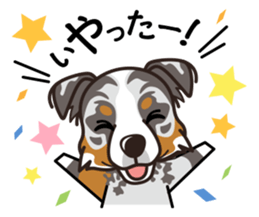 iinu - Australian Shepherd sticker #9223884
