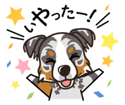 iinu - Australian Shepherd sticker #9223884