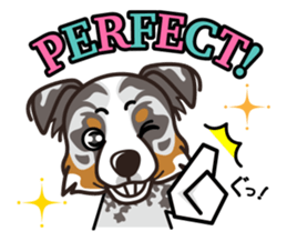 iinu - Australian Shepherd sticker #9223885