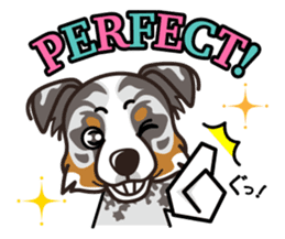 iinu - Australian Shepherd sticker #9223885