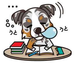 iinu - Australian Shepherd sticker #9223886