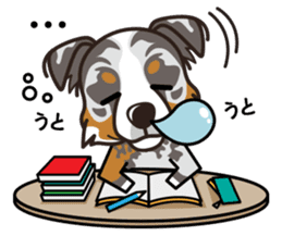 iinu - Australian Shepherd sticker #9223886