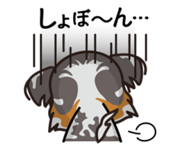 iinu - Australian Shepherd sticker #9223888
