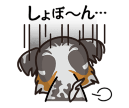 iinu - Australian Shepherd sticker #9223888