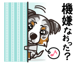 iinu - Australian Shepherd sticker #9223890