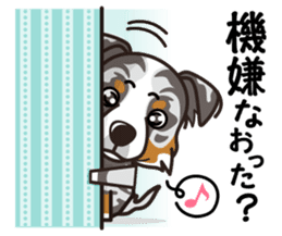 iinu - Australian Shepherd sticker #9223890