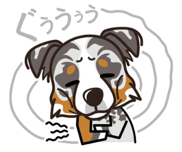 iinu - Australian Shepherd sticker #9223891