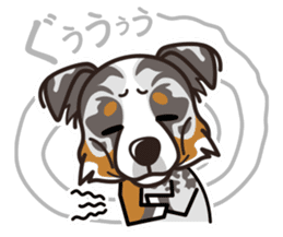 iinu - Australian Shepherd sticker #9223891