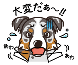 iinu - Australian Shepherd sticker #9223894